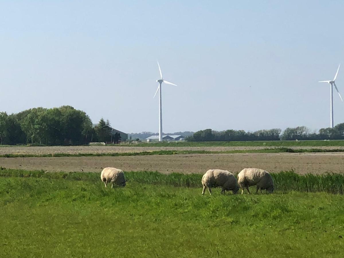 Villa Vogelvrij Burgerbrug Exterior foto